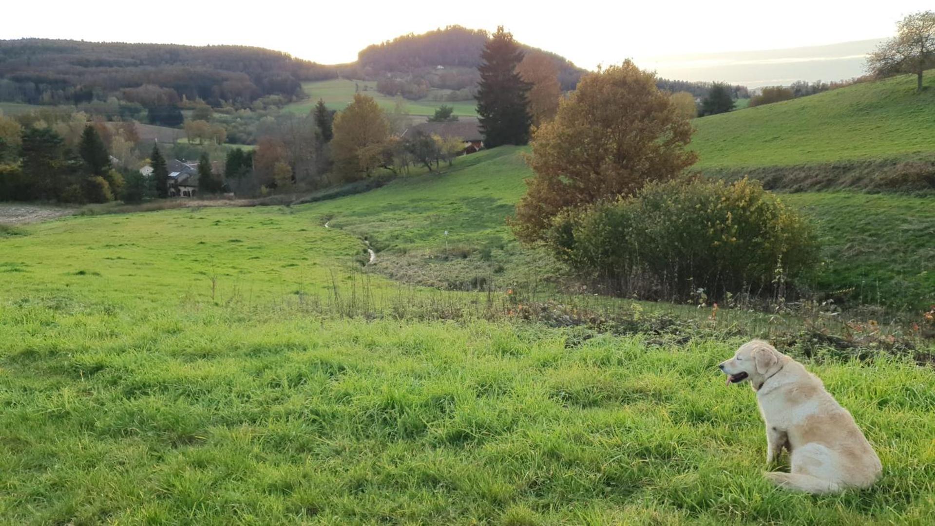 Apartamento S'Yvoux Plait La Chapelle  Exterior foto